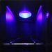 Vinotemp EL-7TS-BLACK Wine Cooler Blue LED Light Interior Close Up Photo