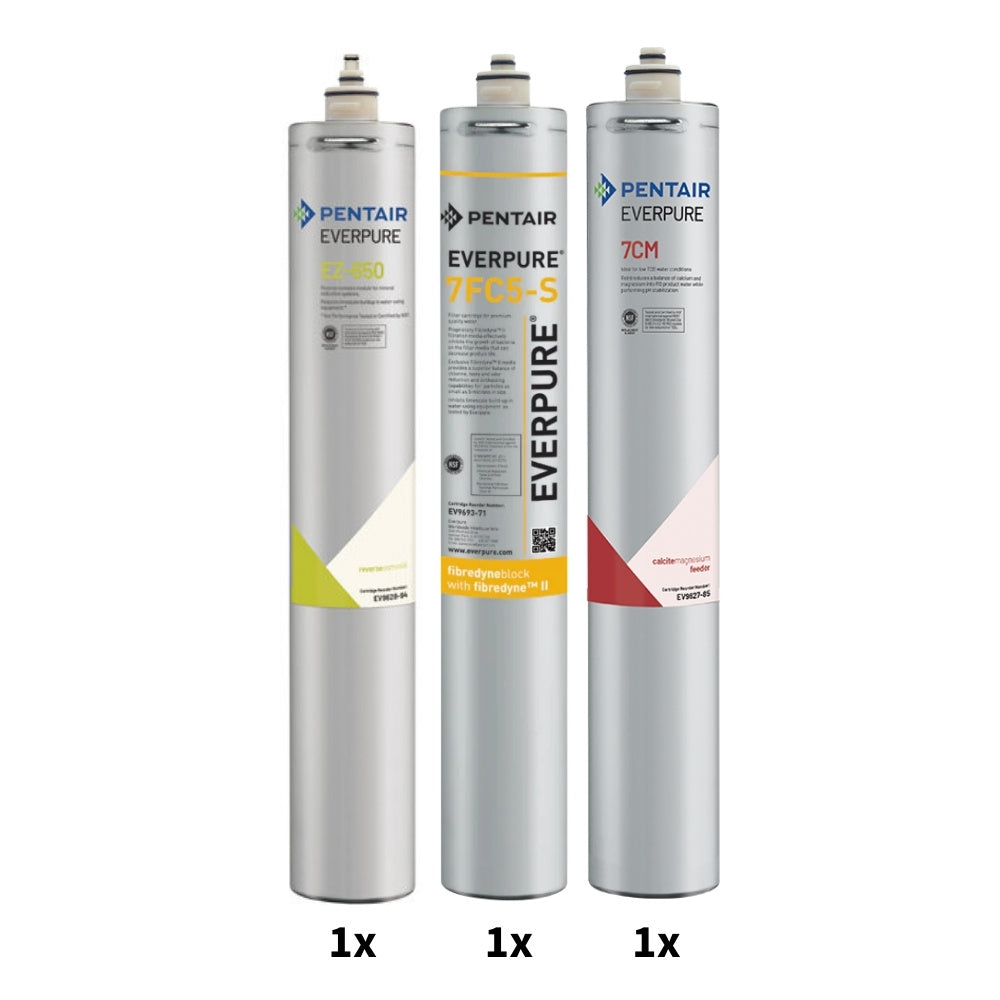 Pentair EZ-RO 650 Complete Cartridge Kit Photo